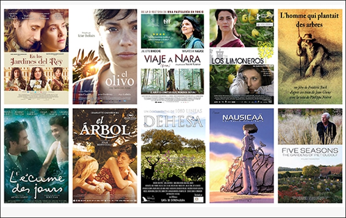 10 Películas Sorprendentes para Disfrutar en Casa 4 10 Películas Sorprendentes para Disfrutar en Casa
