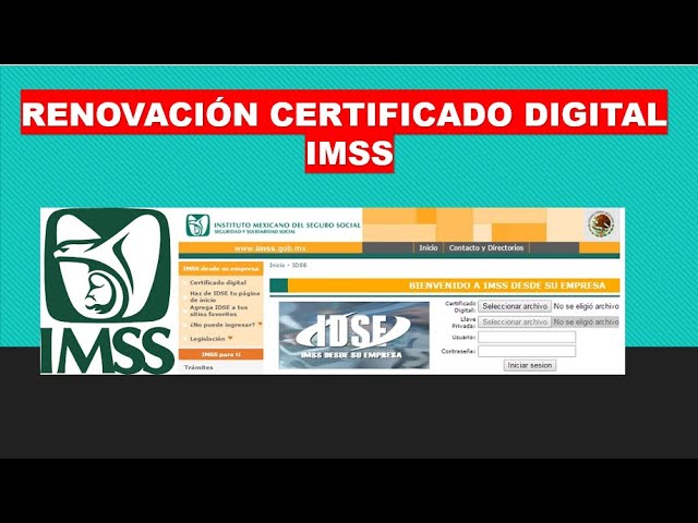 Cómo obtener certificados IDSE para trámites laborales 4 Guía para obtener certificados IDSE para trámites laborales