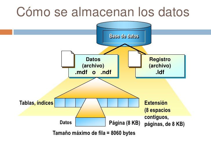 Cómo puedo saber la cantidad de datos almacenados en Bait 7 Cómo saber la cantidad de datos almacenados en Bait: una guía completa