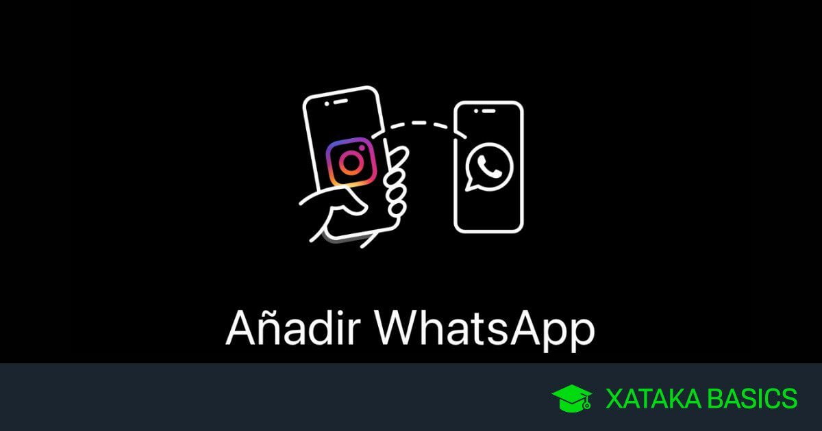 Conoce quién está en línea en WhatsApp con estos sencillos pasos