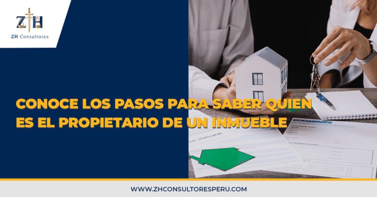 Quién es el propietario de Diri y cuál es su historia 3 El propietario de Diri: descubre quién está detrás de la marca