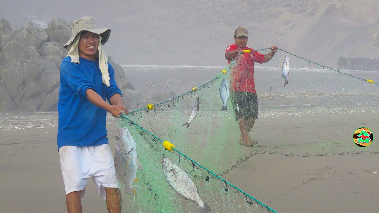 Qué significa la R en la red Bait en la pesca 2 El significado de la «R» en la red Bait en la pesca: una guía completa