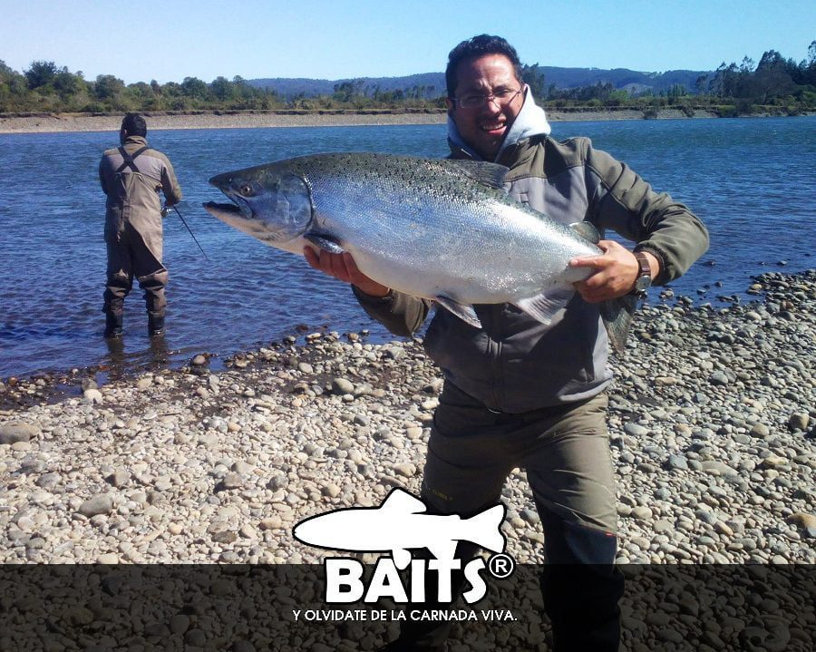 Encuentra los mejores lugares para comprar chip bait para pesca 1 Encuentra los mejores lugares para comprar chip bait para pesca