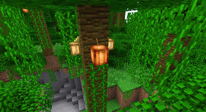 Guía completa para cultivar y conseguir zanahorias en Minecraft