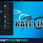 Cómo configurar Internet en Kali Linux de manera adecuada