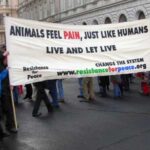 La grúa de rescate de Rescatel: ¿Cuántos kilómetros puede cubrir?