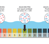 La importancia del ion H+ en el agua y su impacto en el pH