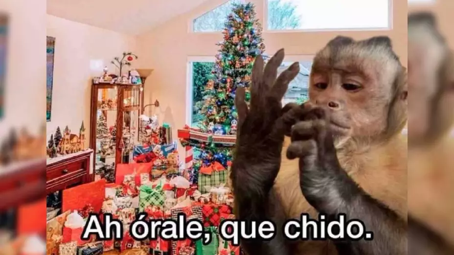 Los Mejores Memes de Reyes: Risas y Sorpresas del Día 6 Los Mejores Memes de Reyes: Risas y Sorpresas del Día
