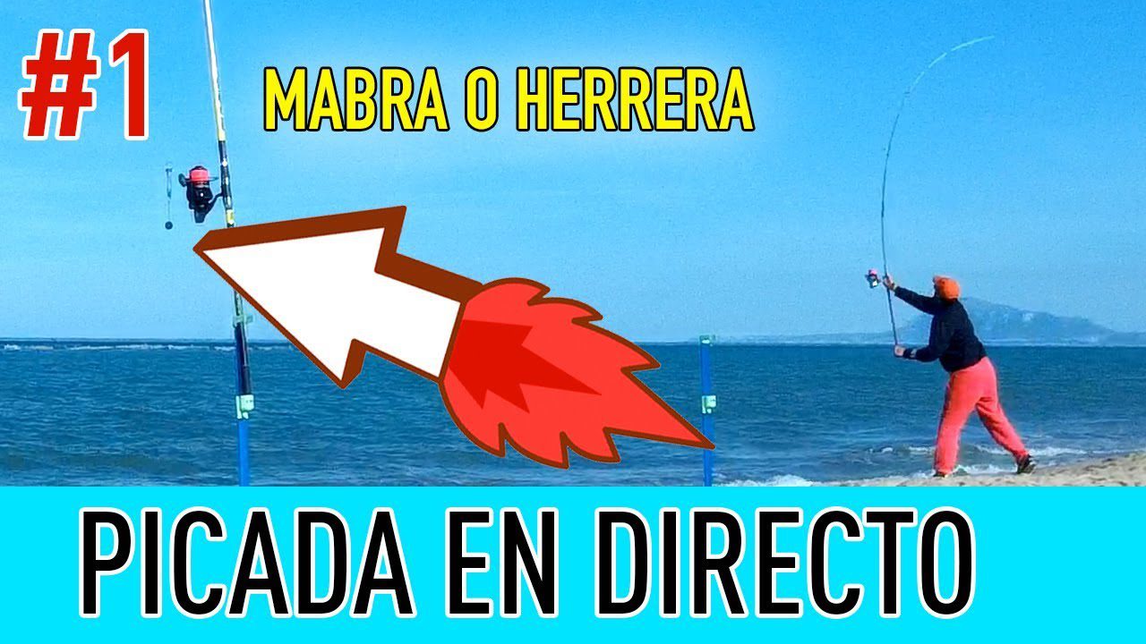 Maximiza tu éxito en el surfcasting con el mejor detector de picada