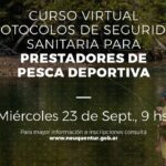 Cuáles son las mejores aplicaciones para descargar y disfrutar de Bait