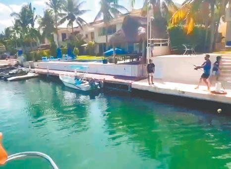 TELMEX en COZUMEL: ¡Descubre Sus SORPRENDENTES Ofertas! 4 TELMEX en COZUMEL: ¡Descubre Sus SORPRENDENTES Ofertas!