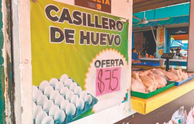 TOTALPLAY: Descubre PRECIOS y PAQUETES sorpresivos